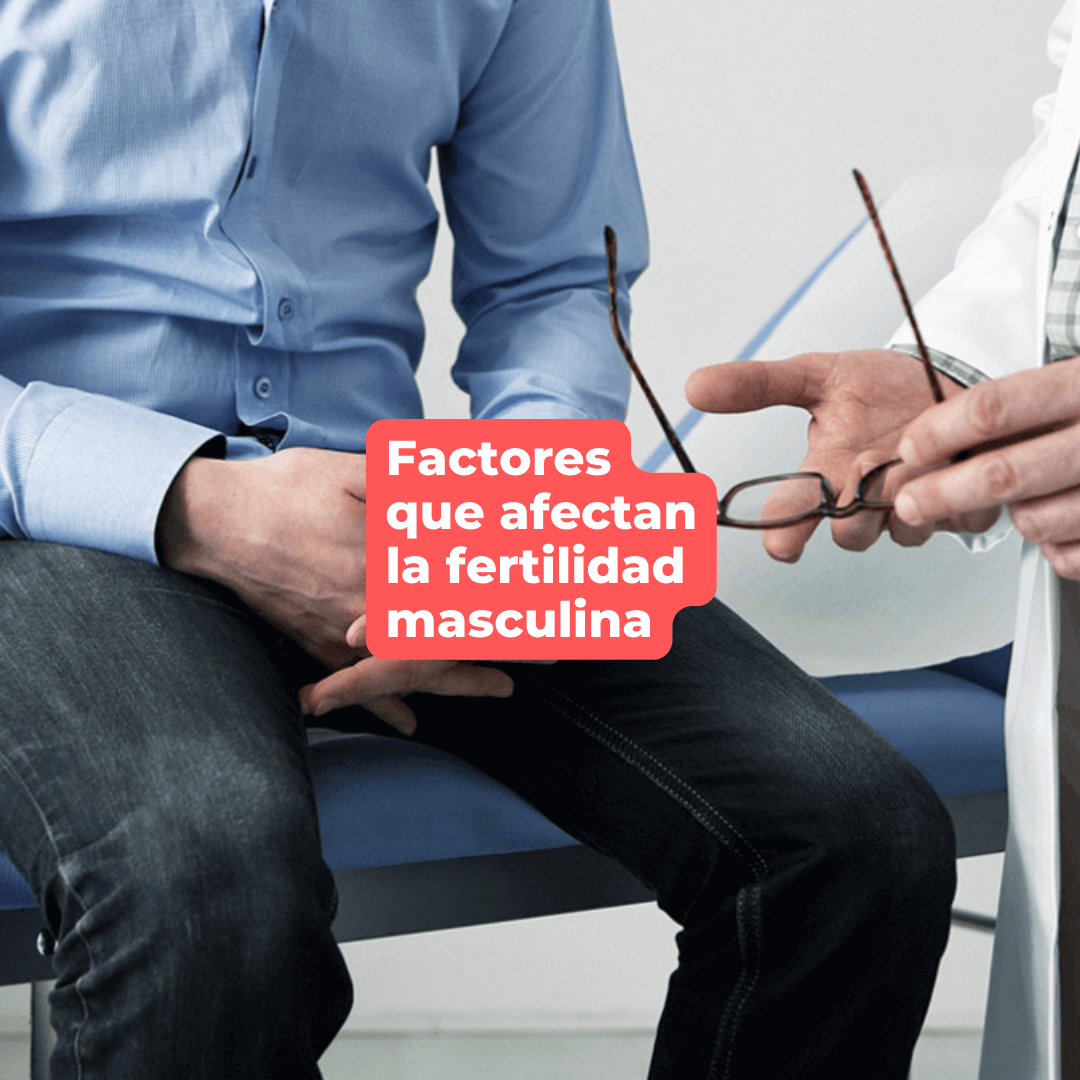 Factores que afectan la Fertilidad Masculina